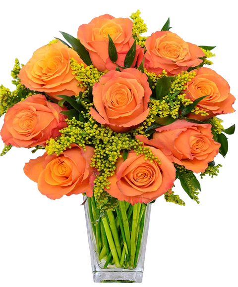 Mazzo di rose